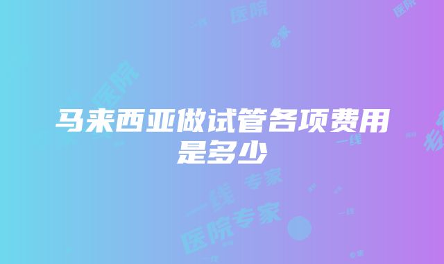 马来西亚做试管各项费用是多少