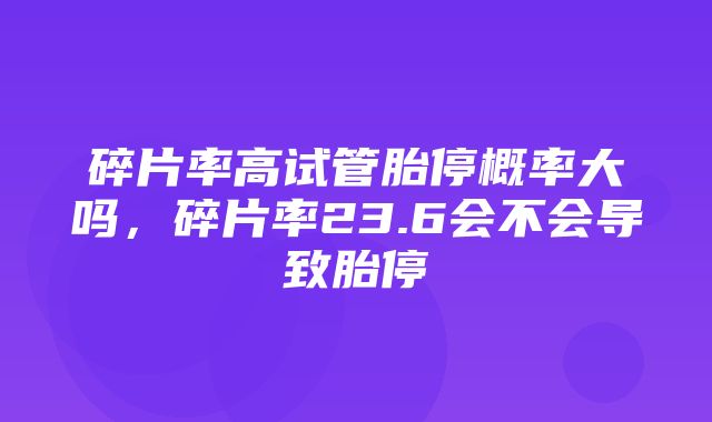 碎片率高试管胎停概率大吗，碎片率23.6会不会导致胎停