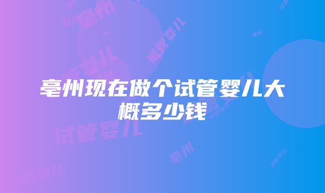 亳州现在做个试管婴儿大概多少钱