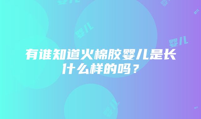 有谁知道火棉胶婴儿是长什么样的吗？