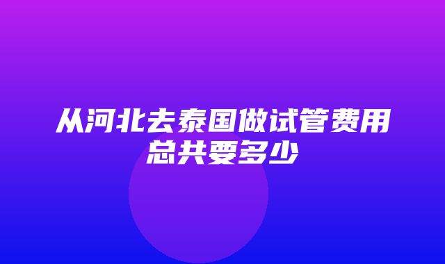 从河北去泰国做试管费用总共要多少