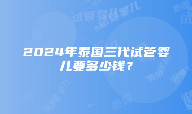 2024年泰国三代试管婴儿要多少钱？