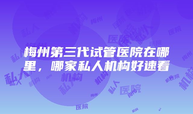 梅州第三代试管医院在哪里，哪家私人机构好速看