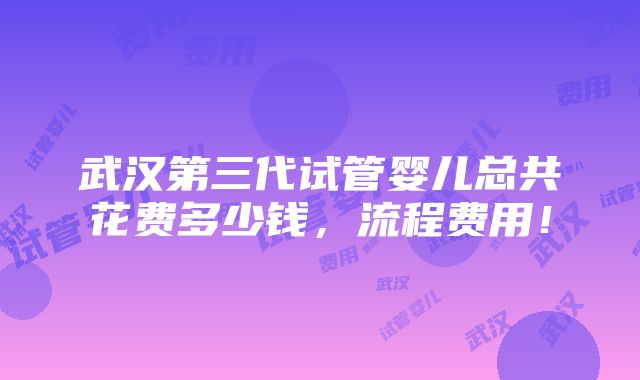 武汉第三代试管婴儿总共花费多少钱，流程费用！