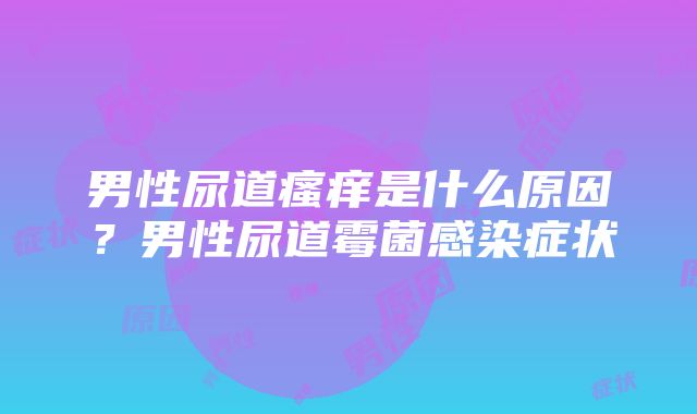 男性尿道瘙痒是什么原因？男性尿道霉菌感染症状