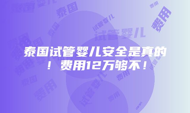 泰国试管婴儿安全是真的！费用12万够不！