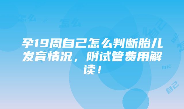 孕19周自己怎么判断胎儿发育情况，附试管费用解读！