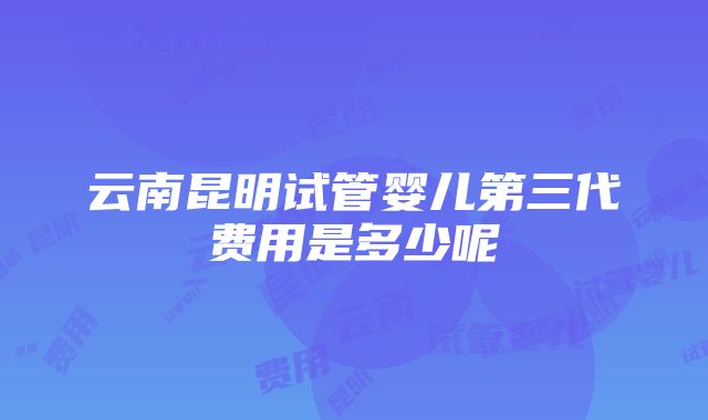 云南昆明试管婴儿第三代费用是多少呢