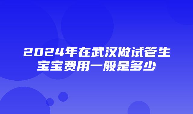 2024年在武汉做试管生宝宝费用一般是多少