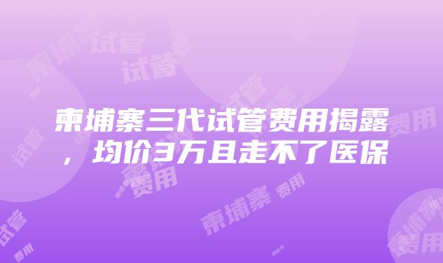 柬埔寨三代试管费用揭露，均价3万且走不了医保