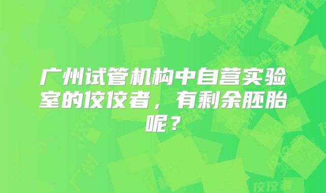 广州试管机构中自营实验室的佼佼者，有剩余胚胎呢？