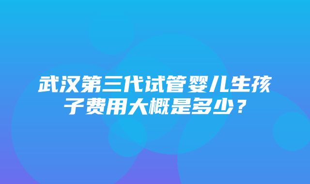 武汉第三代试管婴儿生孩子费用大概是多少？