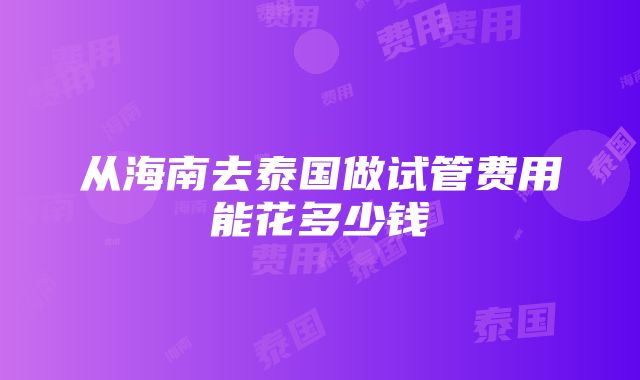 从海南去泰国做试管费用能花多少钱