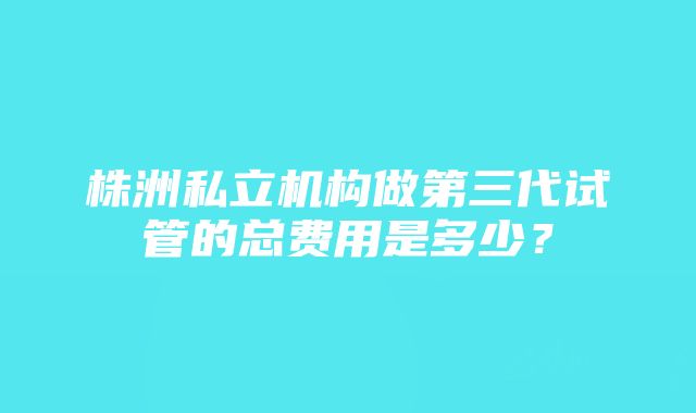 株洲私立机构做第三代试管的总费用是多少？