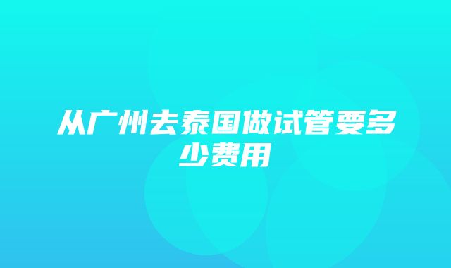 从广州去泰国做试管要多少费用