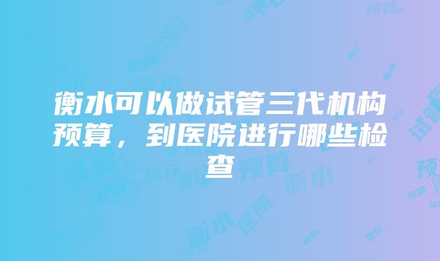 衡水可以做试管三代机构预算，到医院进行哪些检查