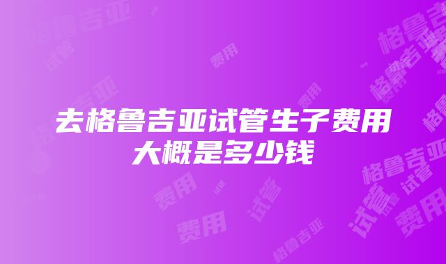 去格鲁吉亚试管生子费用大概是多少钱