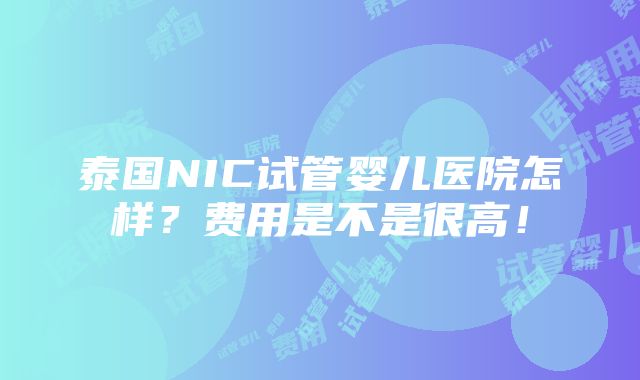 泰国NIC试管婴儿医院怎样？费用是不是很高！