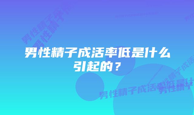 男性精子成活率低是什么引起的？