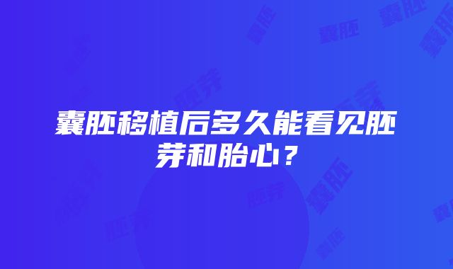 囊胚移植后多久能看见胚芽和胎心？