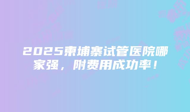 2025柬埔寨试管医院哪家强，附费用成功率！