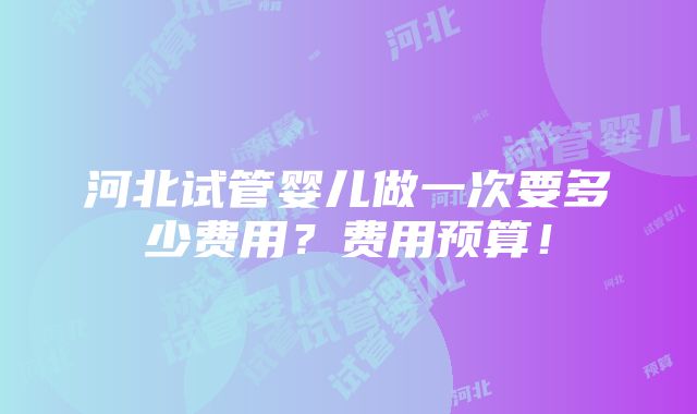 河北试管婴儿做一次要多少费用？费用预算！