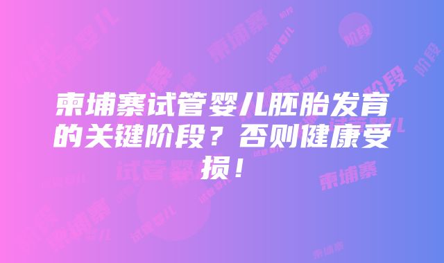 柬埔寨试管婴儿胚胎发育的关键阶段？否则健康受损！