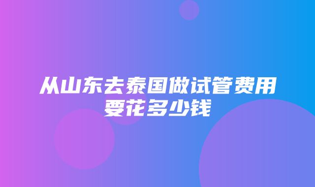 从山东去泰国做试管费用要花多少钱