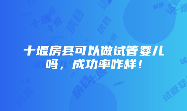 十堰房县可以做试管婴儿吗，成功率咋样！