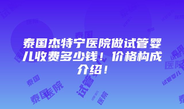 泰国杰特宁医院做试管婴儿收费多少钱！价格构成介绍！