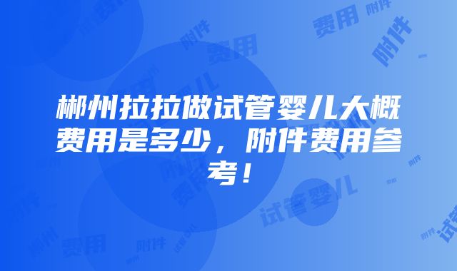 郴州拉拉做试管婴儿大概费用是多少，附件费用参考！