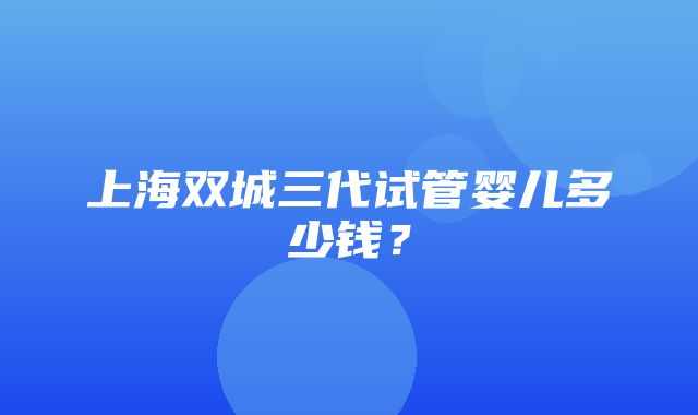 上海双城三代试管婴儿多少钱？