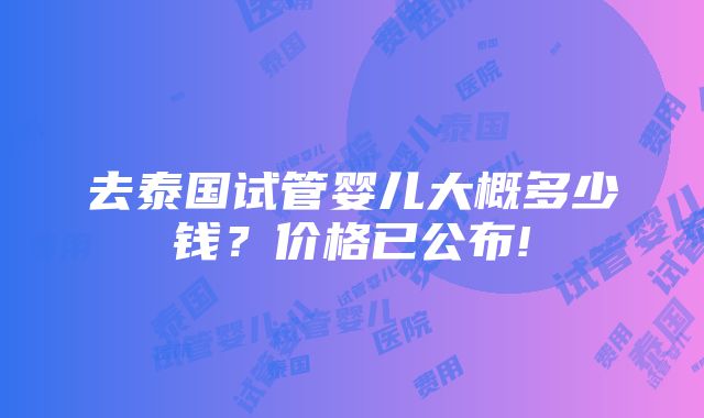 去泰国试管婴儿大概多少钱？价格已公布!