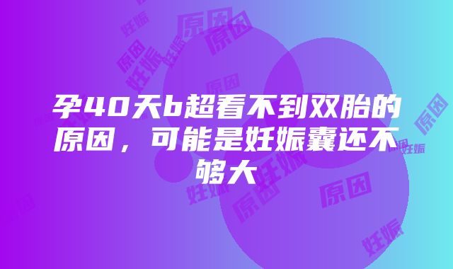 孕40天b超看不到双胎的原因，可能是妊娠囊还不够大