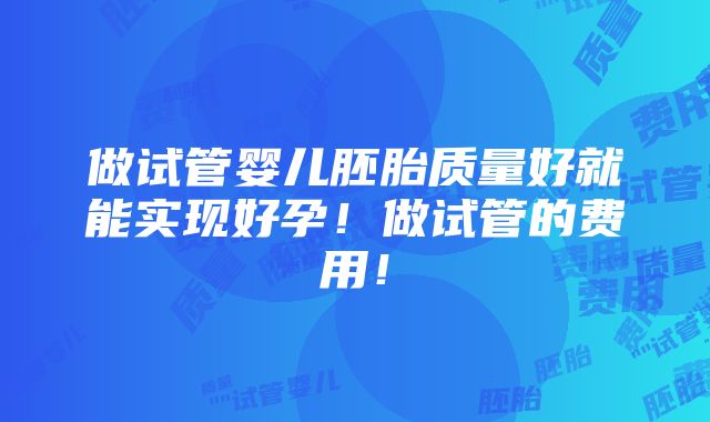 做试管婴儿胚胎质量好就能实现好孕！做试管的费用！