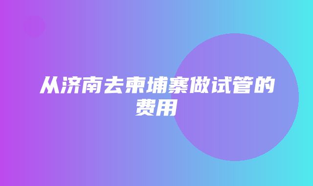 从济南去柬埔寨做试管的费用