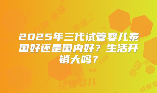 2025年三代试管婴儿泰国好还是国内好？生活开销大吗？