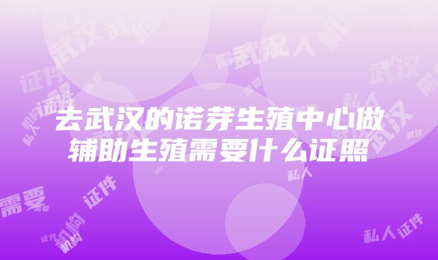 去武汉的诺芽生殖中心做辅助生殖需要什么证照