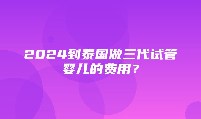 2024到泰国做三代试管婴儿的费用？