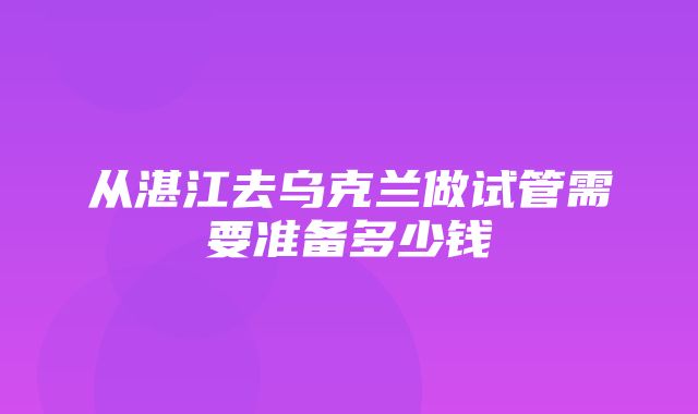 从湛江去乌克兰做试管需要准备多少钱