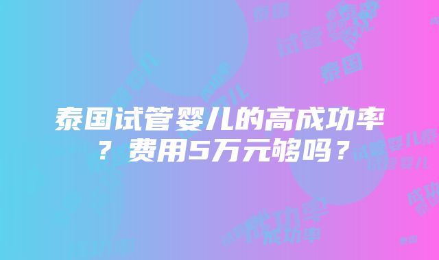 泰国试管婴儿的高成功率？费用5万元够吗？