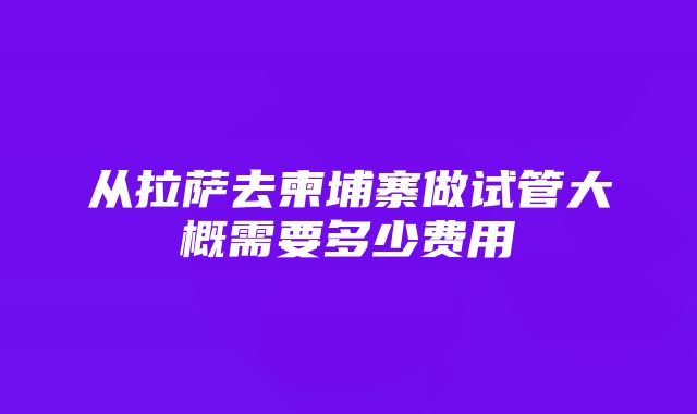 从拉萨去柬埔寨做试管大概需要多少费用