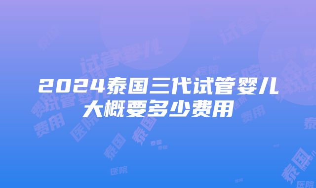 2024泰国三代试管婴儿大概要多少费用