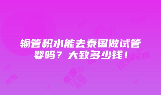 输管积水能去泰国做试管婴吗？大致多少钱！