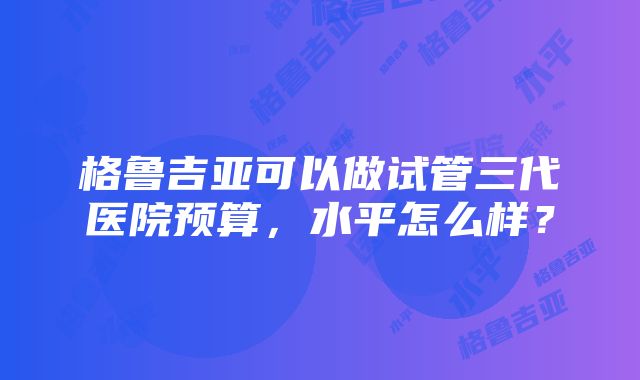 格鲁吉亚可以做试管三代医院预算，水平怎么样？