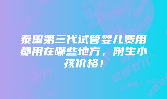 泰国第三代试管婴儿费用都用在哪些地方，附生小孩价格！