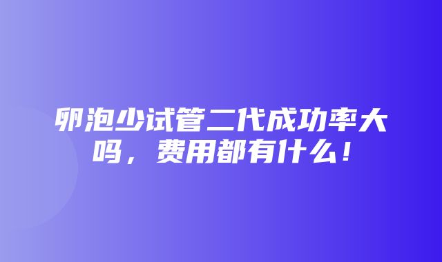 卵泡少试管二代成功率大吗，费用都有什么！