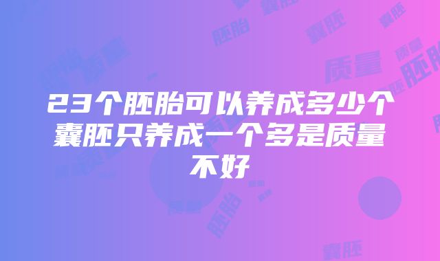 23个胚胎可以养成多少个囊胚只养成一个多是质量不好