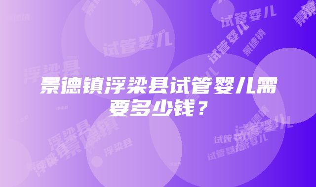 景德镇浮梁县试管婴儿需要多少钱？