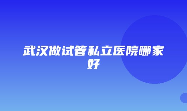 武汉做试管私立医院哪家好